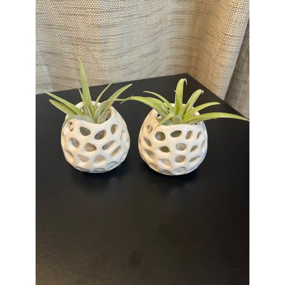 Pair of Small Round White Ceramic Air Plant Container 2.5 inch - Picture 1 of 8